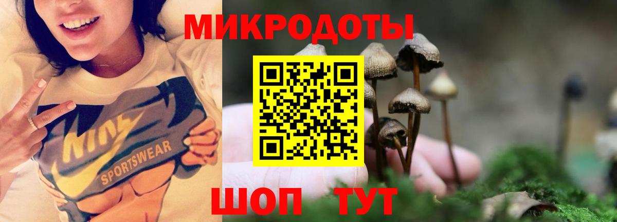 А ПВП Павлово